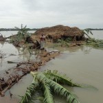 Bangladesh: Restoring livelihoods in the aftermath of Cyclone Mahasen / WFP Photo