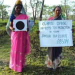 Climate change has resulted in an extreme dry spell that has ruined the tea crops in Assam / by 350.org